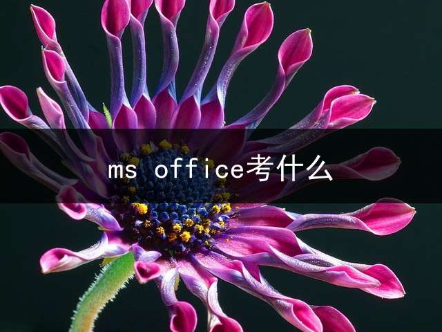 ms office考什么？ 计算机二级office考的是什么东西？