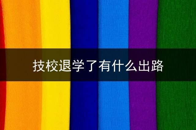 技校退学了有什么出路？