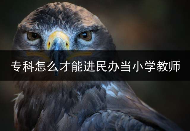 专科怎么才能进民办当小学教师？