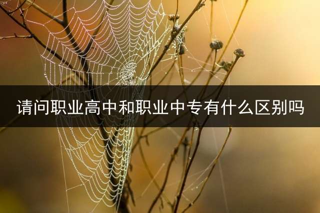 请问职业高中和职业中专有什么区别吗？