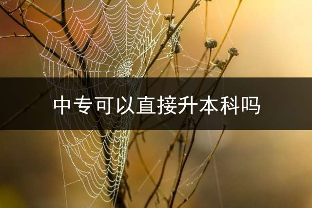 中专可以直接升本科吗？