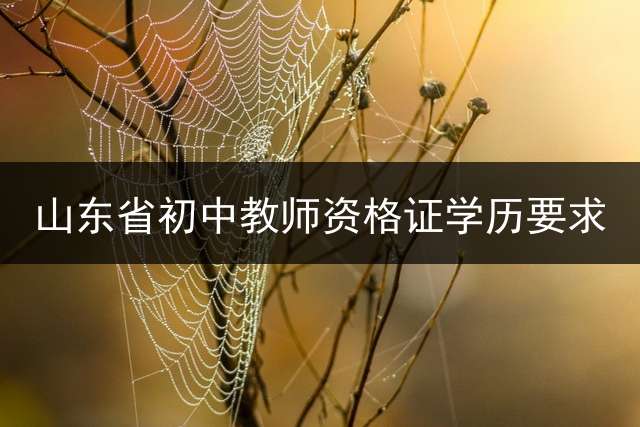 山东省初中教师资格证学历要求？ 山东专科可以考音乐教师编制吗？