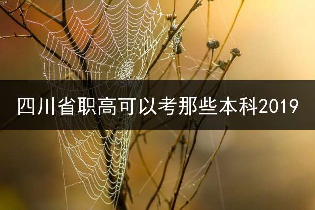 四川省职高可以考那些本科2019？