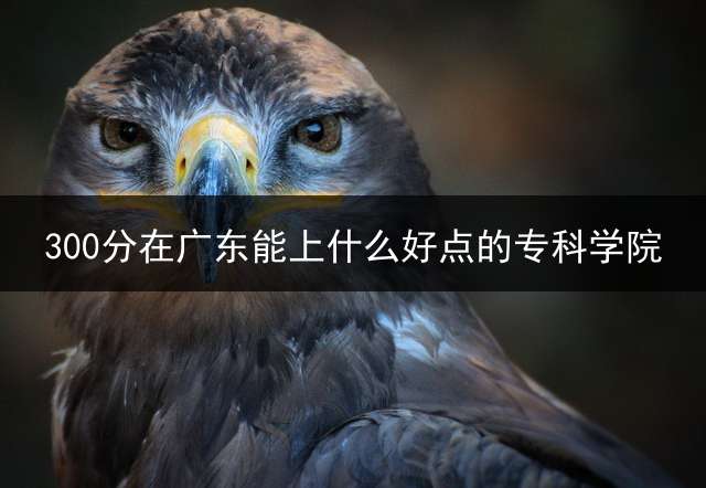 300分在广东能上什么好点的专科学院？ (广东300分能考什么师范学院？)