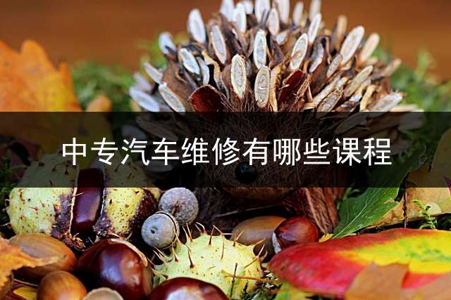 中专汽车维修有哪些课程？