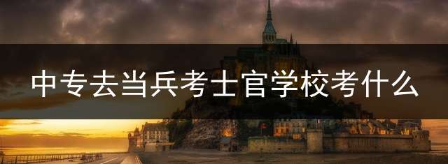 中专去当兵考士官学校考什么？