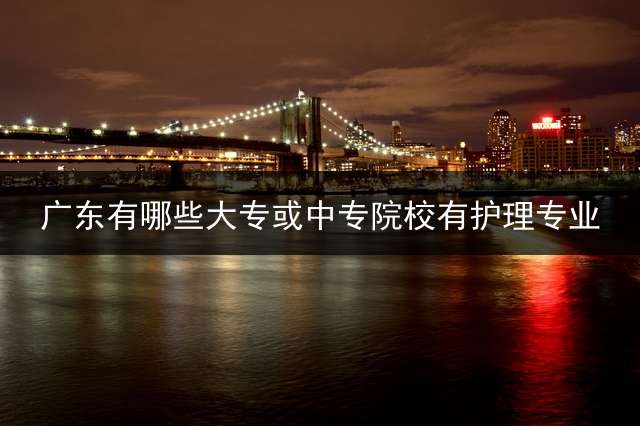 广东有哪些大专或中专院校有护理专业？