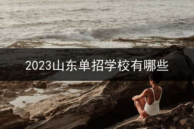 2023山东单招学校有哪些？