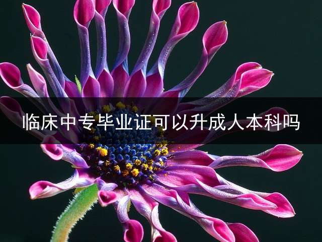 临床中专毕业证可以升成人本科吗？