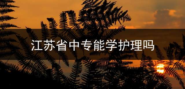 江苏省中专能学护理吗？