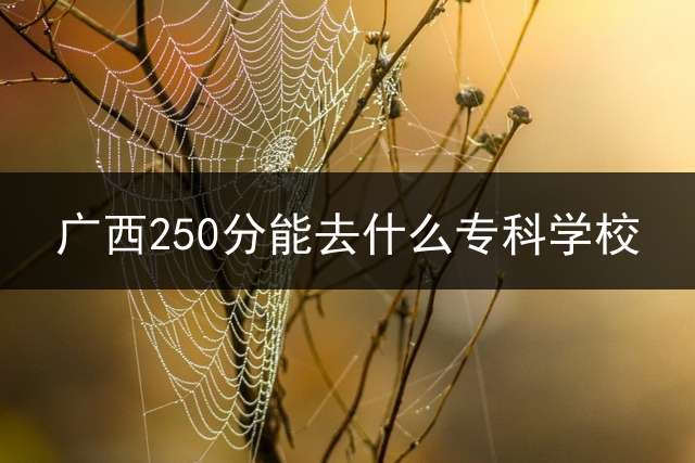 广西250分能去什么专科学校？