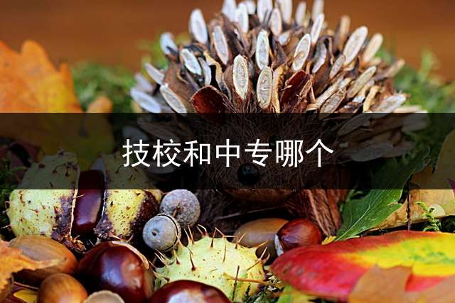 技校和中专哪个？