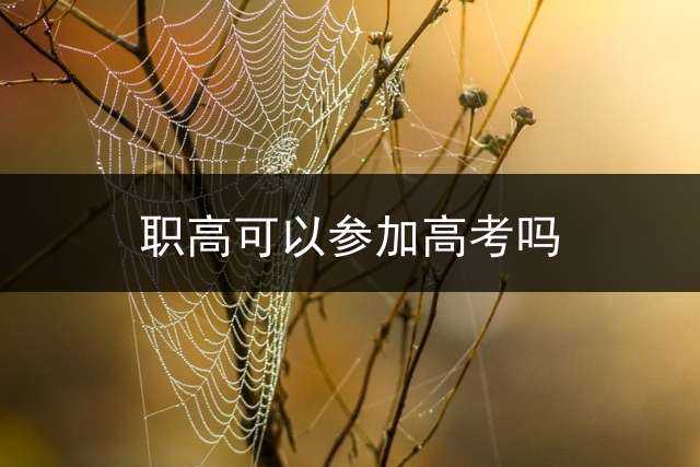 职高可以参加高考吗？
