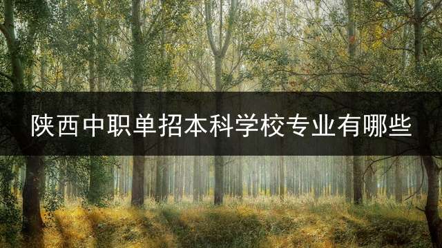 陕西中职单招本科学校专业有哪些？