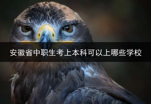安徽省中职生考上本科可以上哪些学校？