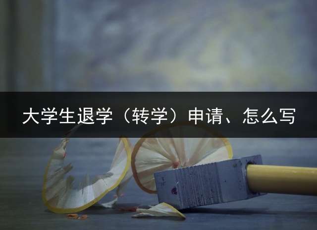 大学生退学（转学）申请、怎么写？
