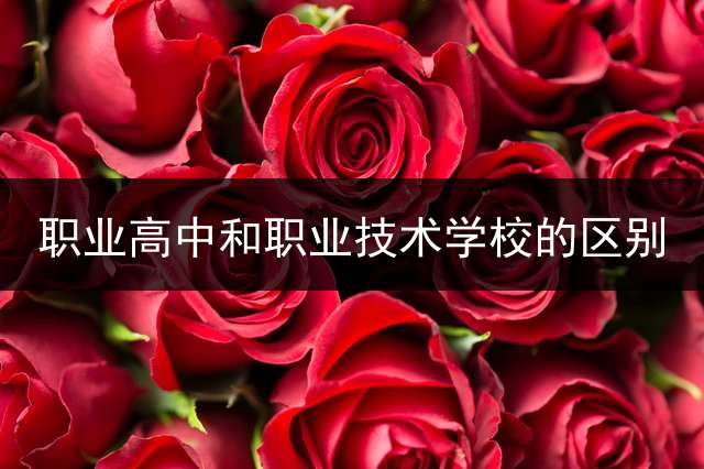 职业高中和职业技术学校的区别？