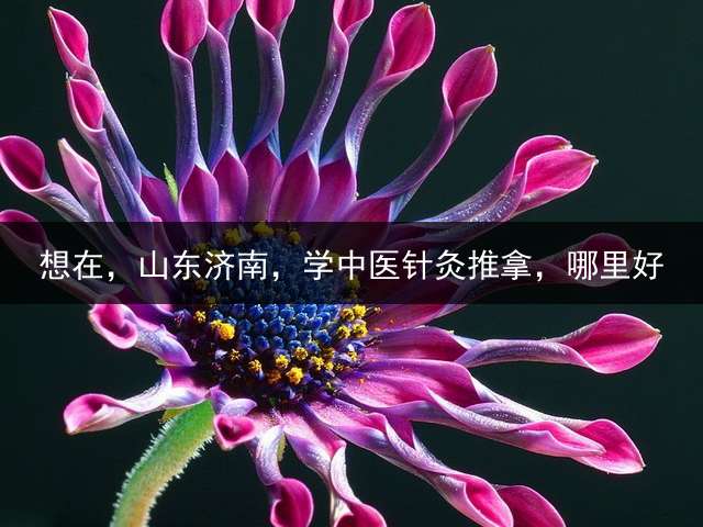 想在，山东济南，学中医针灸推拿，哪里好？