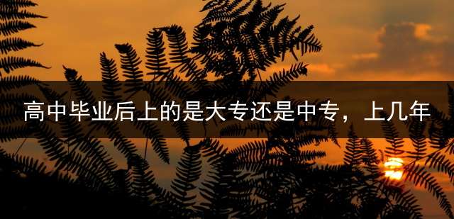 高中毕业后上的是大专还是中专，上几年？