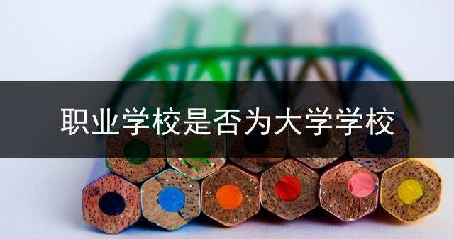 职业学校是否为大学学校？