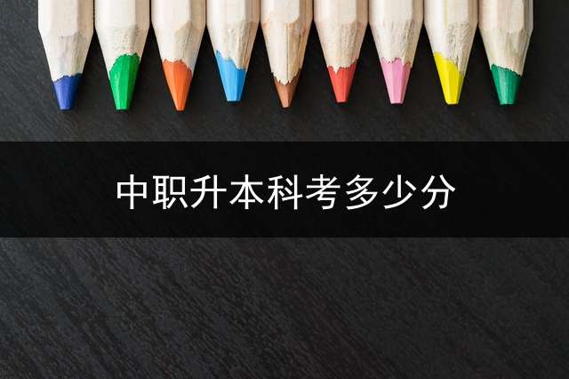 中职升本科考多少分？