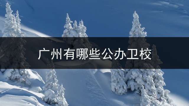 广州有哪些公办卫校？