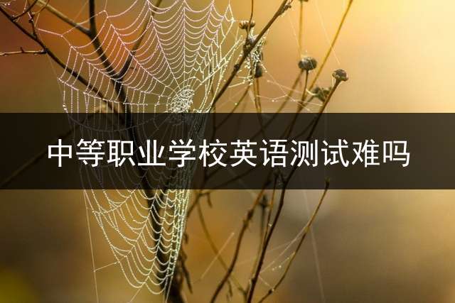 中等职业学校英语测试难吗？
