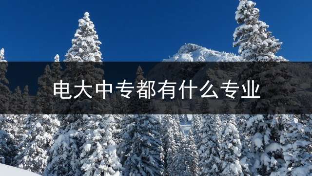 电大中专都有什么专业？