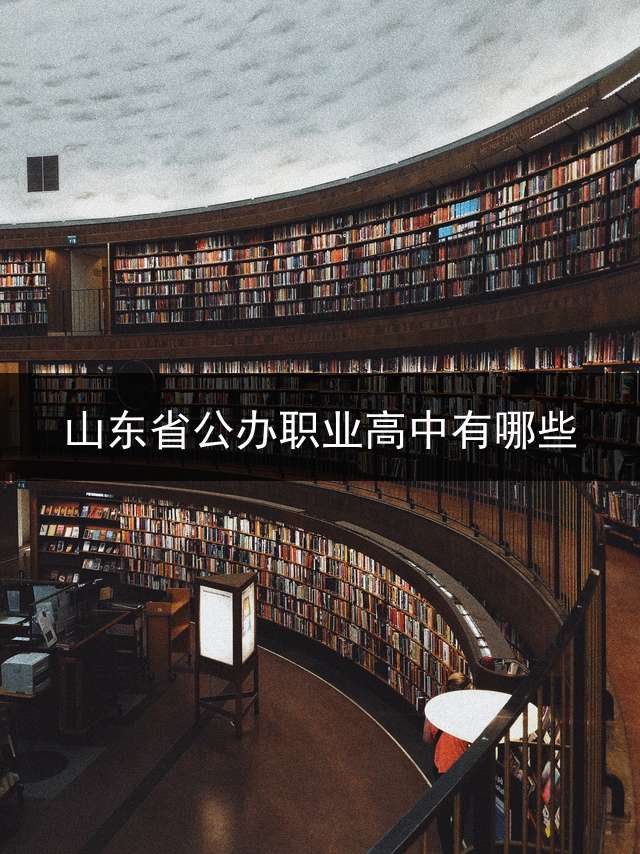 山东省公办职业高中有哪些？