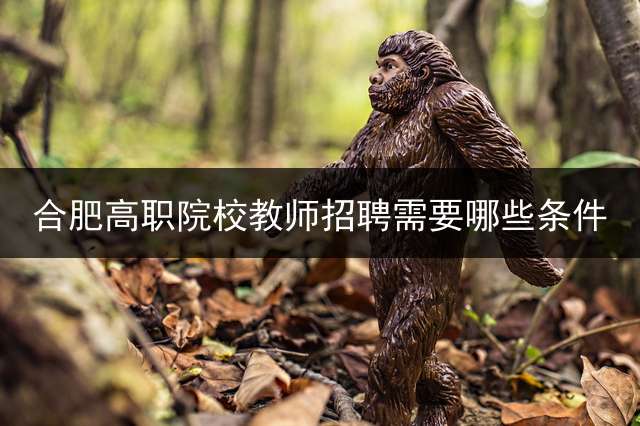 合肥高职院校教师招聘需要哪些条件？
