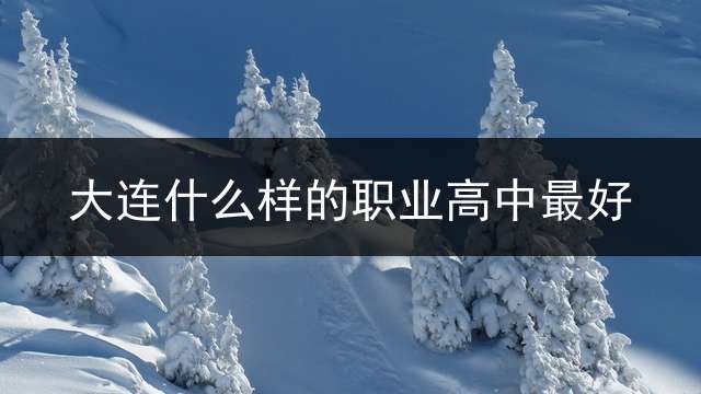 大连什么样的职业高中最好？