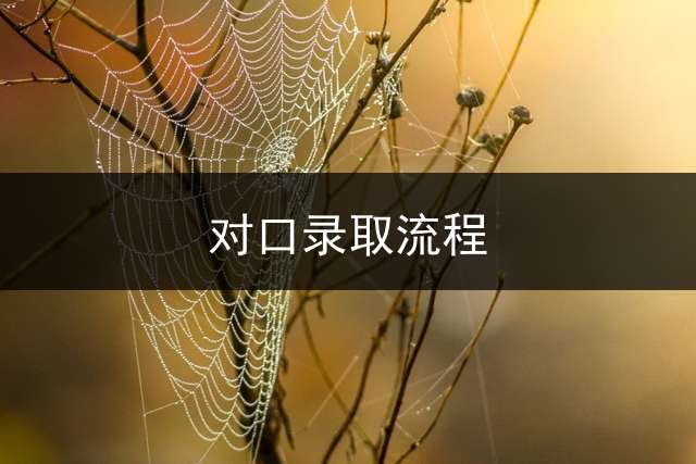 对口录取流程？