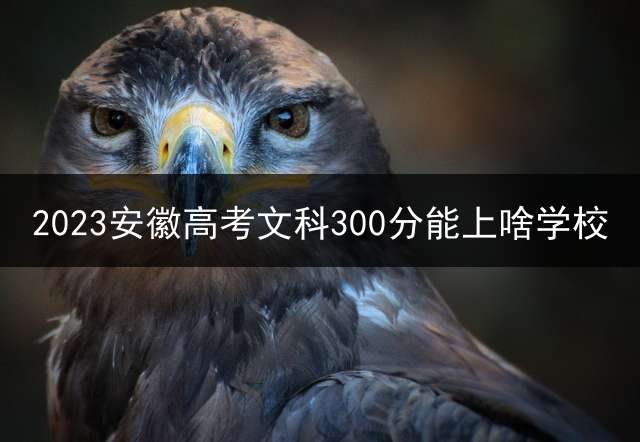 2023安徽高考文科300分能上啥学校？