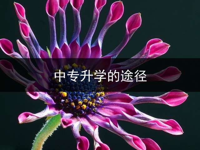中专升学的途径？
