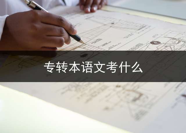 专转本语文考什么？