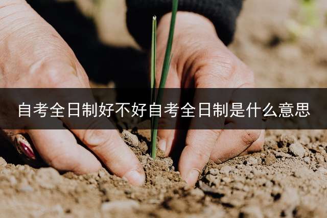 自考全日制好不好?自考全日制是什么意思？