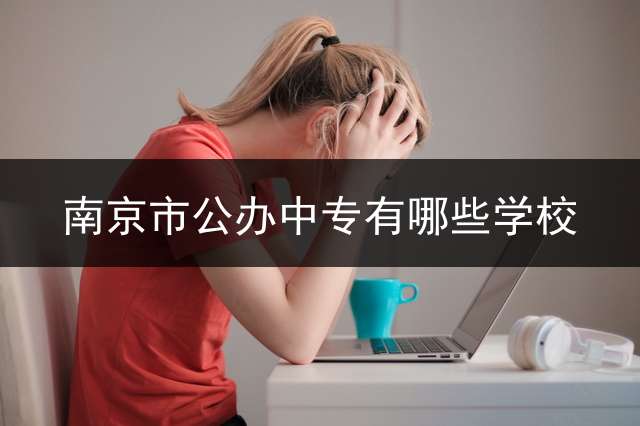 南京市公办中专有哪些学校？