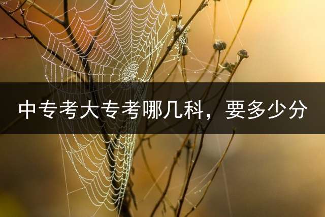 中专考大专考哪几科，要多少分？