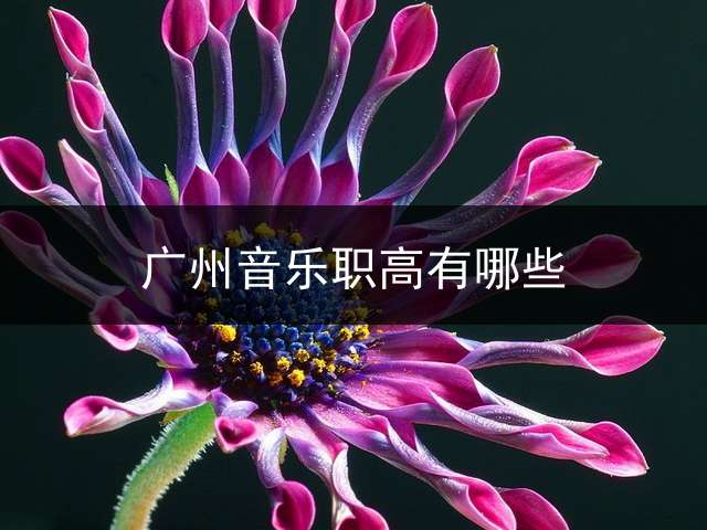 广州音乐职高有哪些？