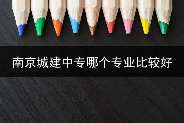 南京城建中专哪个专业比较好？