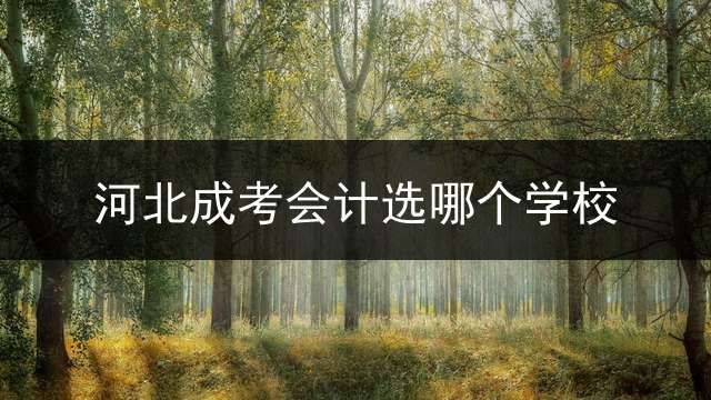 河北成考会计选哪个学校？ (河北省会计专业大学排名？)