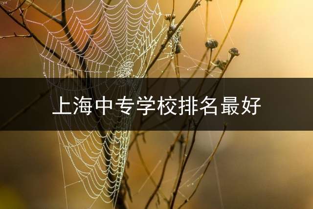上海中专学校排名最好？