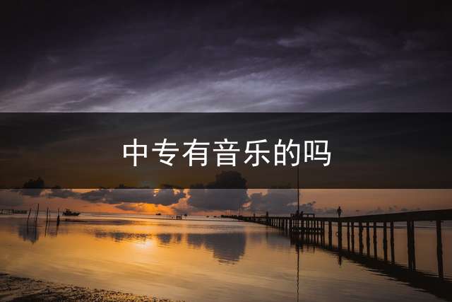 中专有音乐的吗？