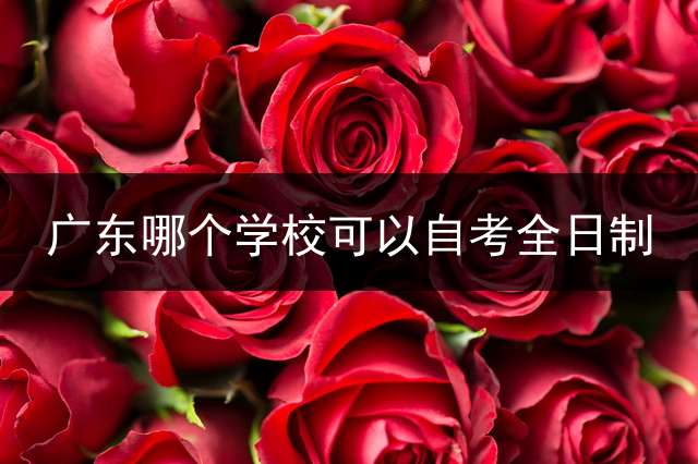 广东哪个学校可以自考全日制？