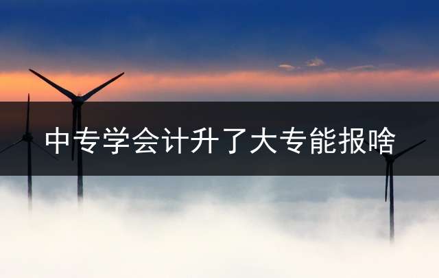 中专学会计升了大专能报啥？ (中专财经类考大专报哪个专业好？)