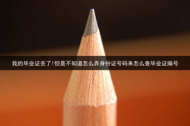 我的毕业证丢了!但是不知道怎么弄?身份证号码来怎么查毕业证编号？
