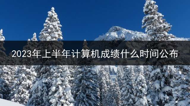 2023年上半年计算机成绩什么时间公布？