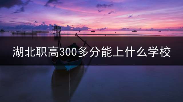 湖北职高300多分能上什么学校？