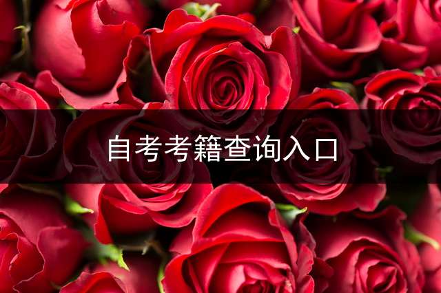 自考考籍查询入口？