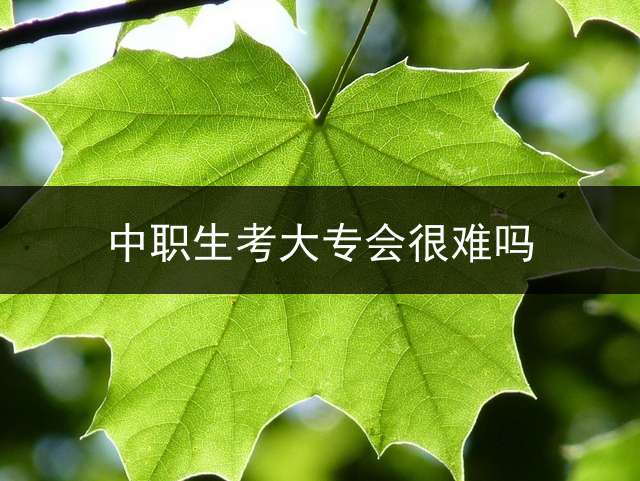 中职生考大专会很难吗？